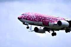 JAL 609