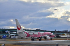 JAL 395