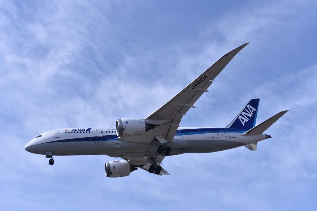 ANA 780