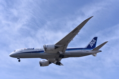 ANA 780