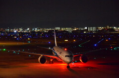ANA 295