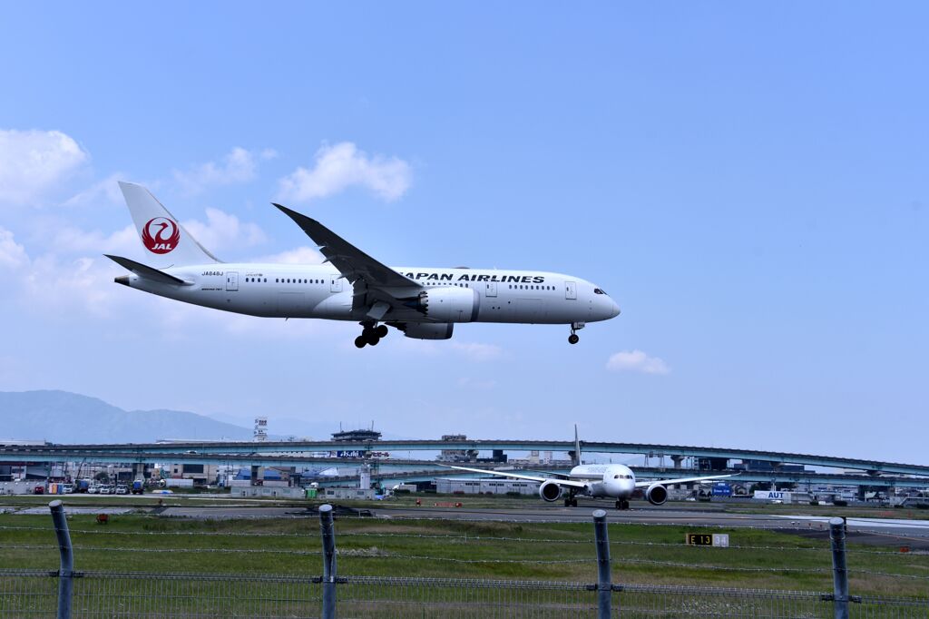 JAL 608