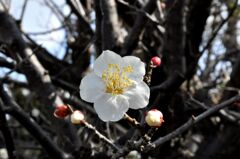 「神様がくれたシナリオ」03