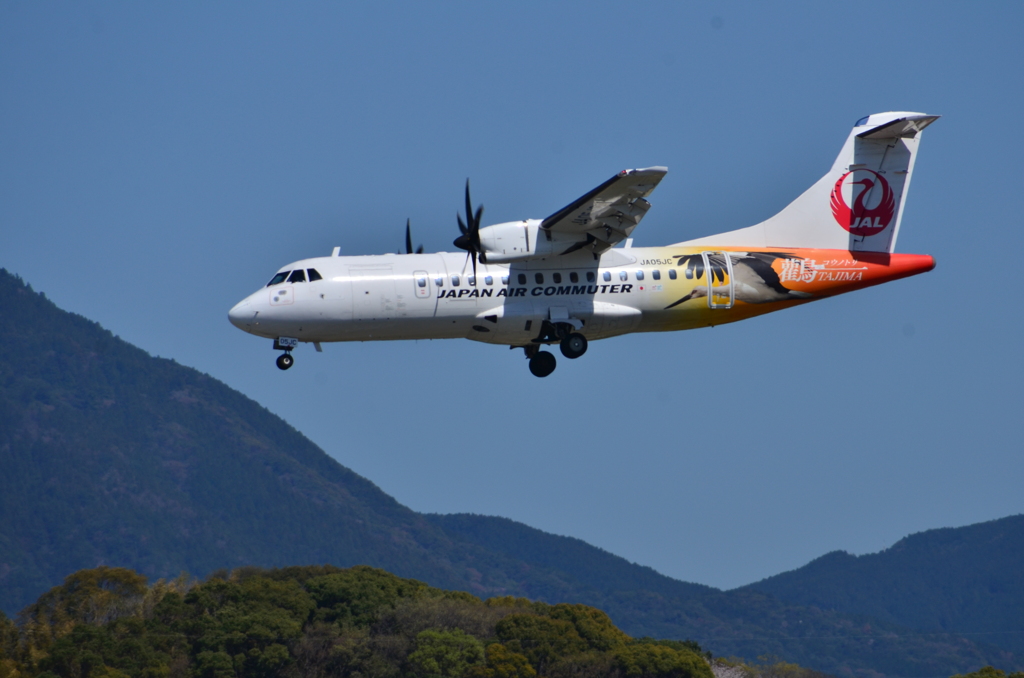JAL 590
