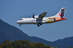 JAL 590