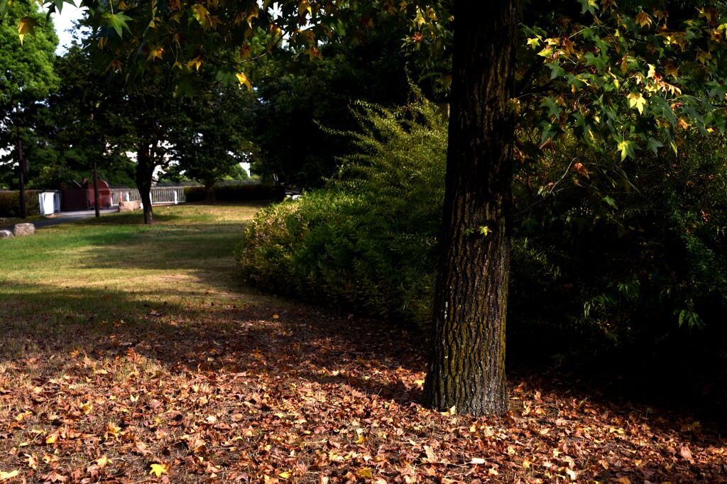 「我が街」04  「ちょっとだけ秋」