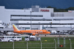 FDA 256
