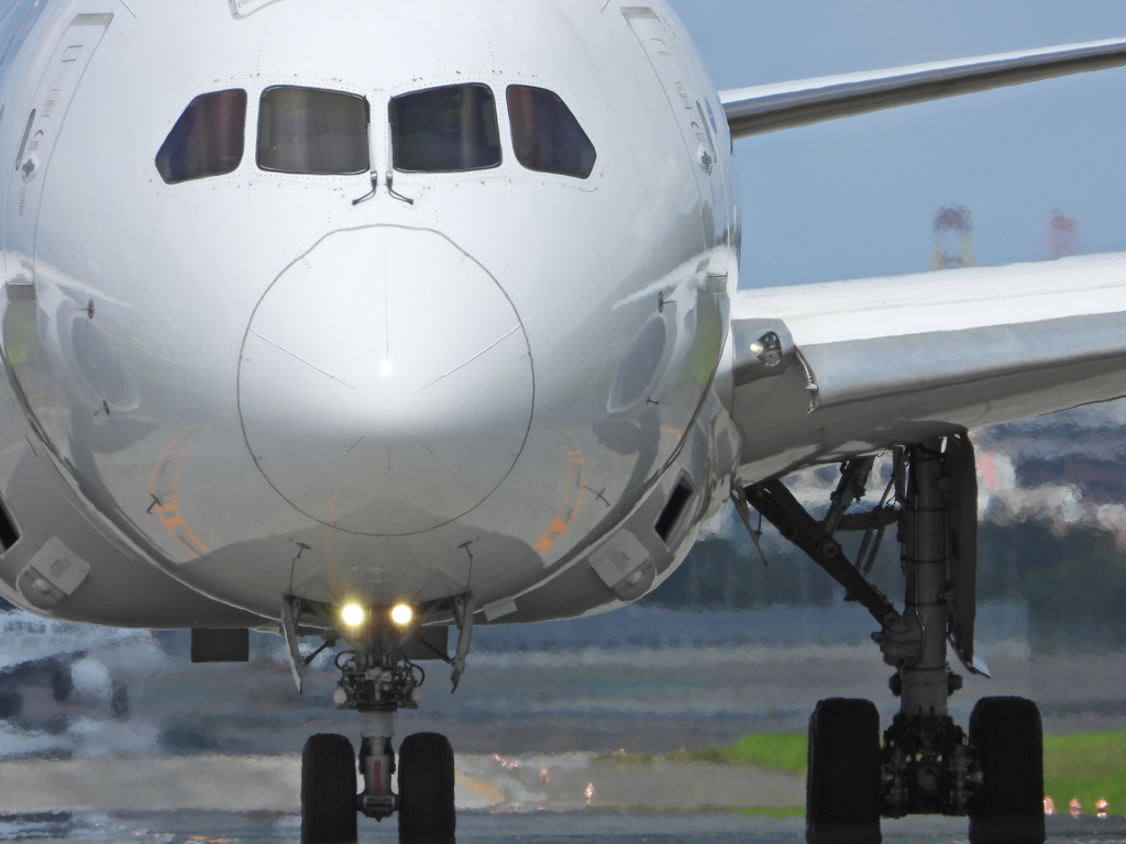 JAL 1350