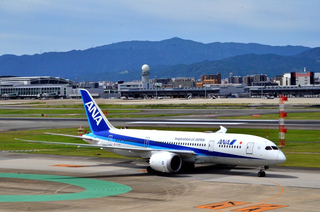 ANA 195