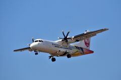 JAL 416