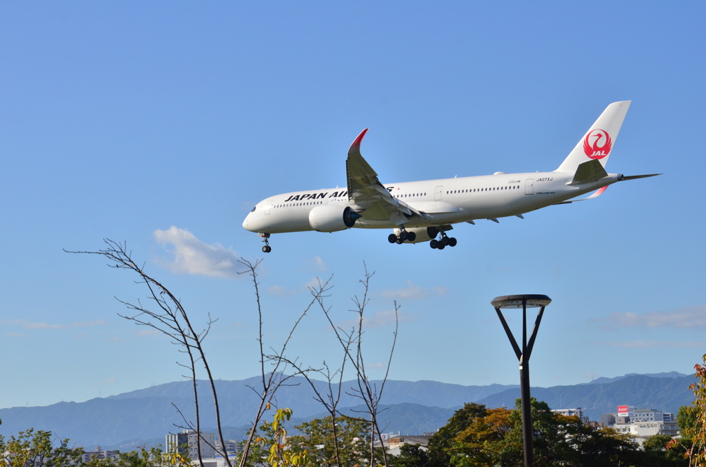 JAL JA07XJ