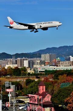 JAL 377