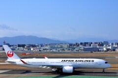 JAL 243