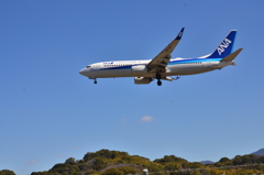 ANA 463