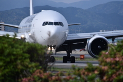 JAL 565
