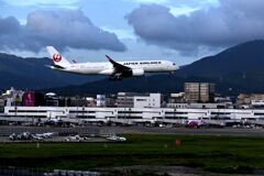 JAL 983
