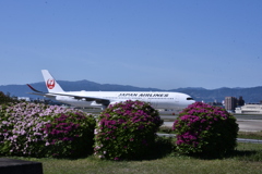 JAL 1138