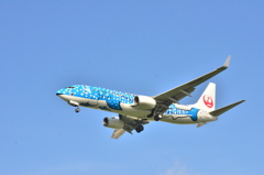 JAL246