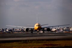 ANA 1165