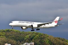 JAL 98