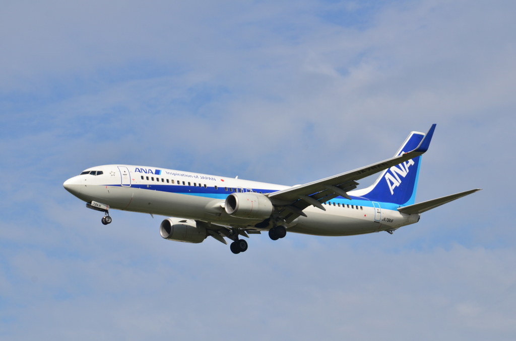 ANA 163