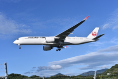 JAL 702