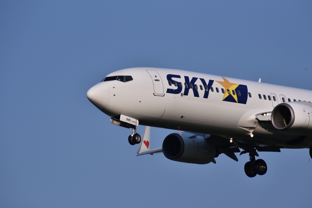 SKY 203