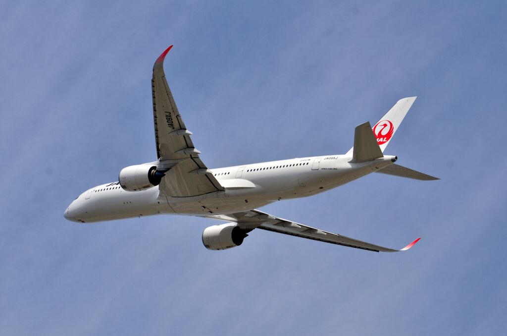 JAL 575