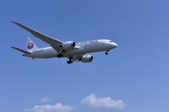 JAL 861