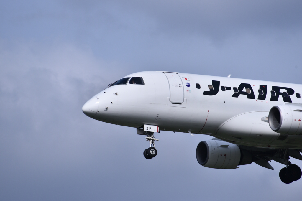 JAL 584