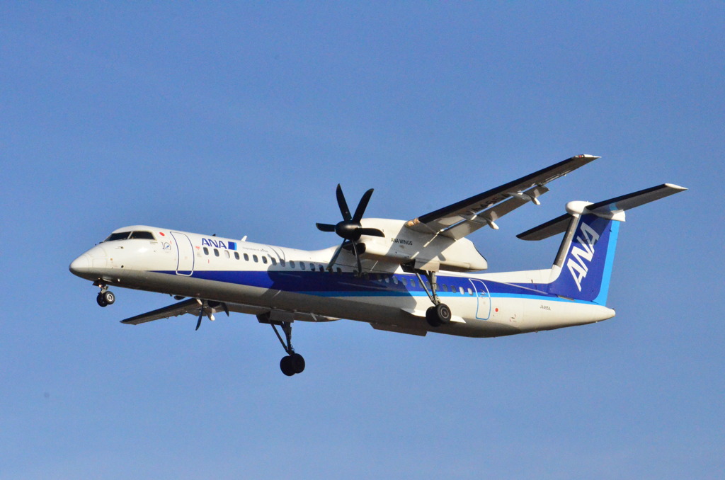 ANA 480