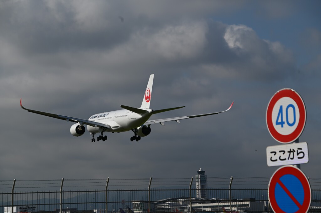 JAL 1317