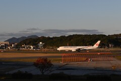 JAL1368