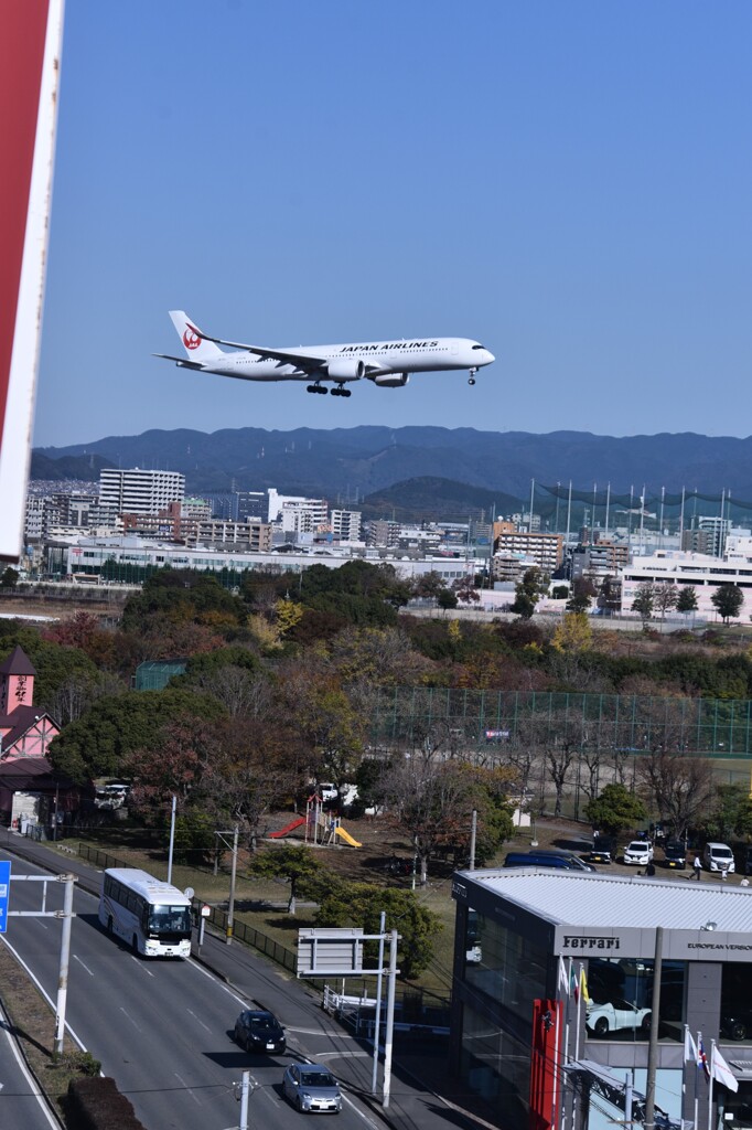 JAL 782