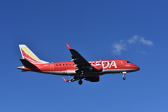 FDA 243