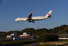 JAL 572