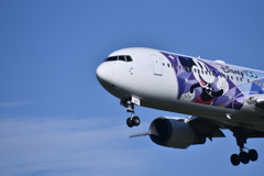 JAL 969