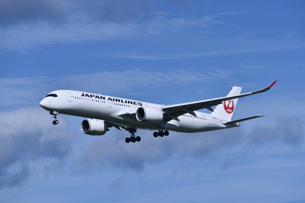 JAL 780