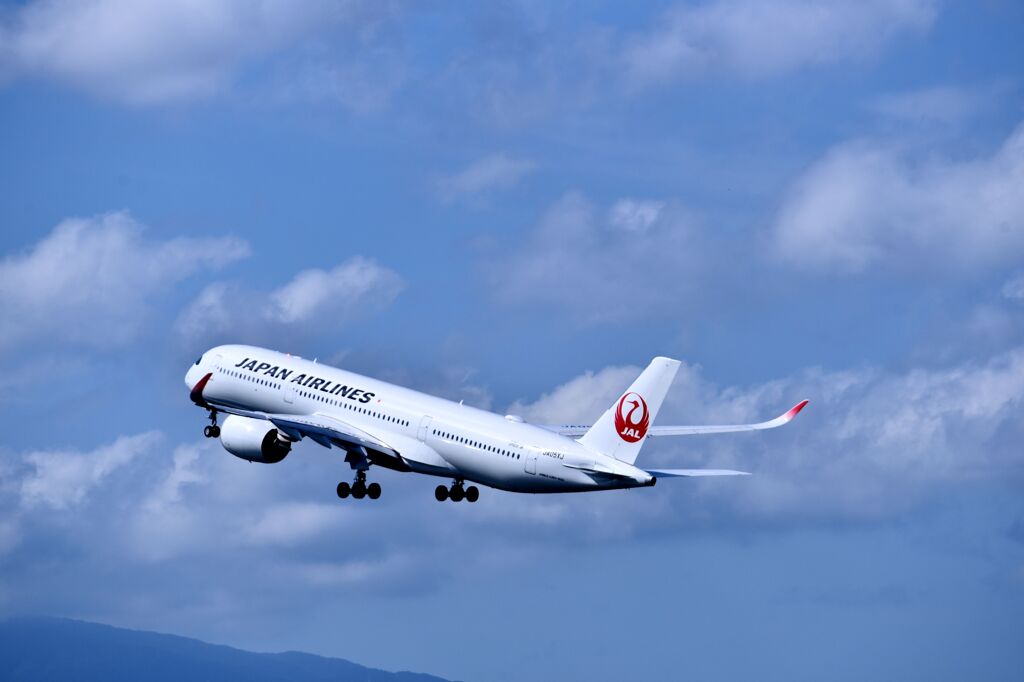 JAL 1252