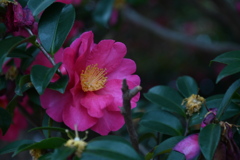 「今を信じてくれますか？」