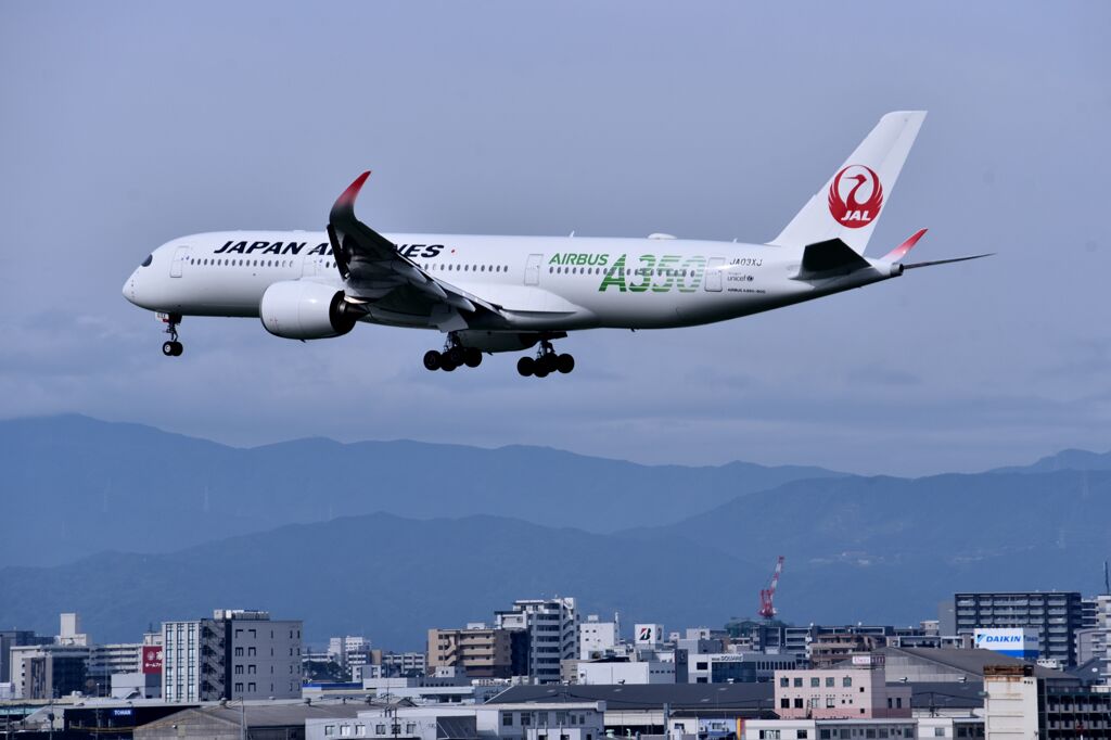JAL 1003
