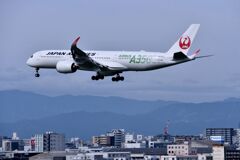 JAL 1003