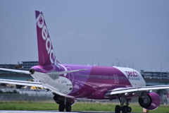 PEA 279