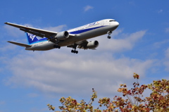 ANA 498