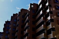 影　その一　　macmosのパクリです。（＾＾；