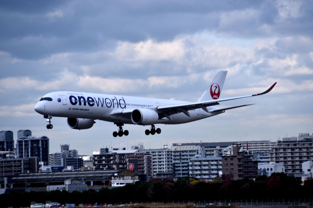 JAL 1095
