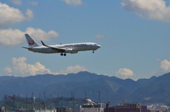 JAL 09