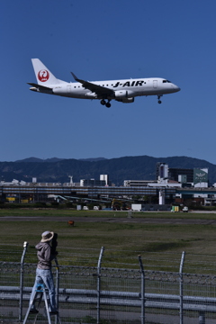 JAL 911