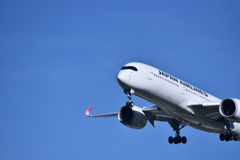 JAL 995
