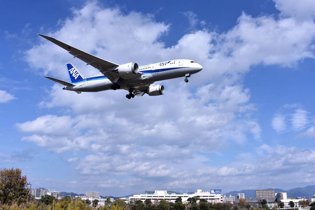 ANA 972